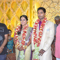 Actress Aparna Pillai Wedding Reception | Picture 43244